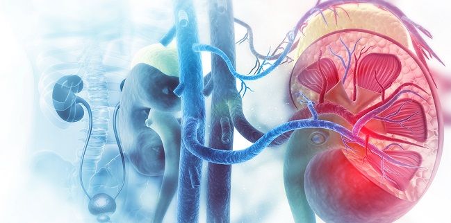 Hypertension Treatment