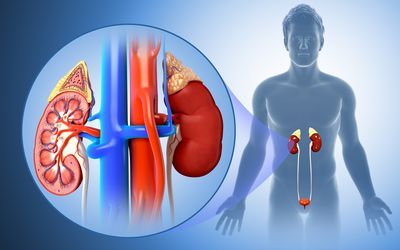 Urinary Infection Care